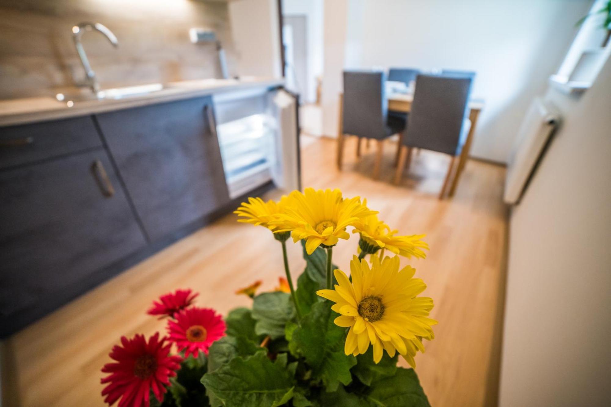 Apartmany Hasicarna Horní Vltavice 외부 사진